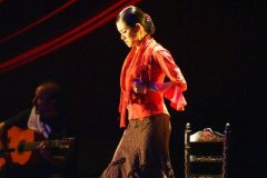 2009年岡本倫子スペイン舞踊団新人公演