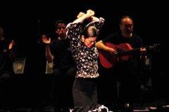 2010年岡本倫子スペイン舞踊団新人公演